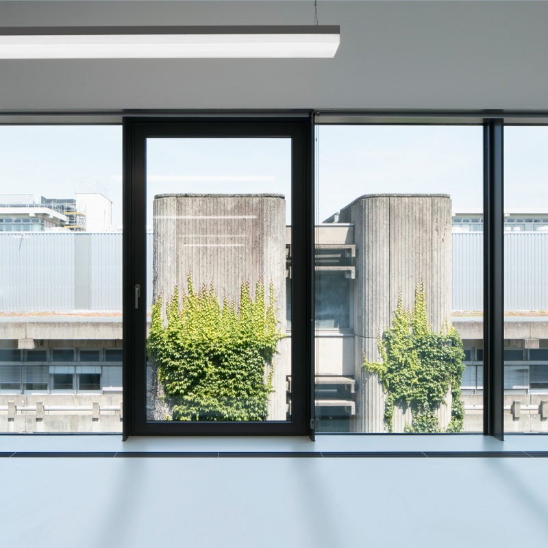 ��Ⱦ�����о�����